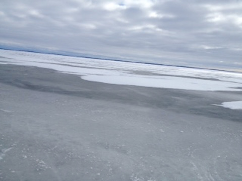 Ice field